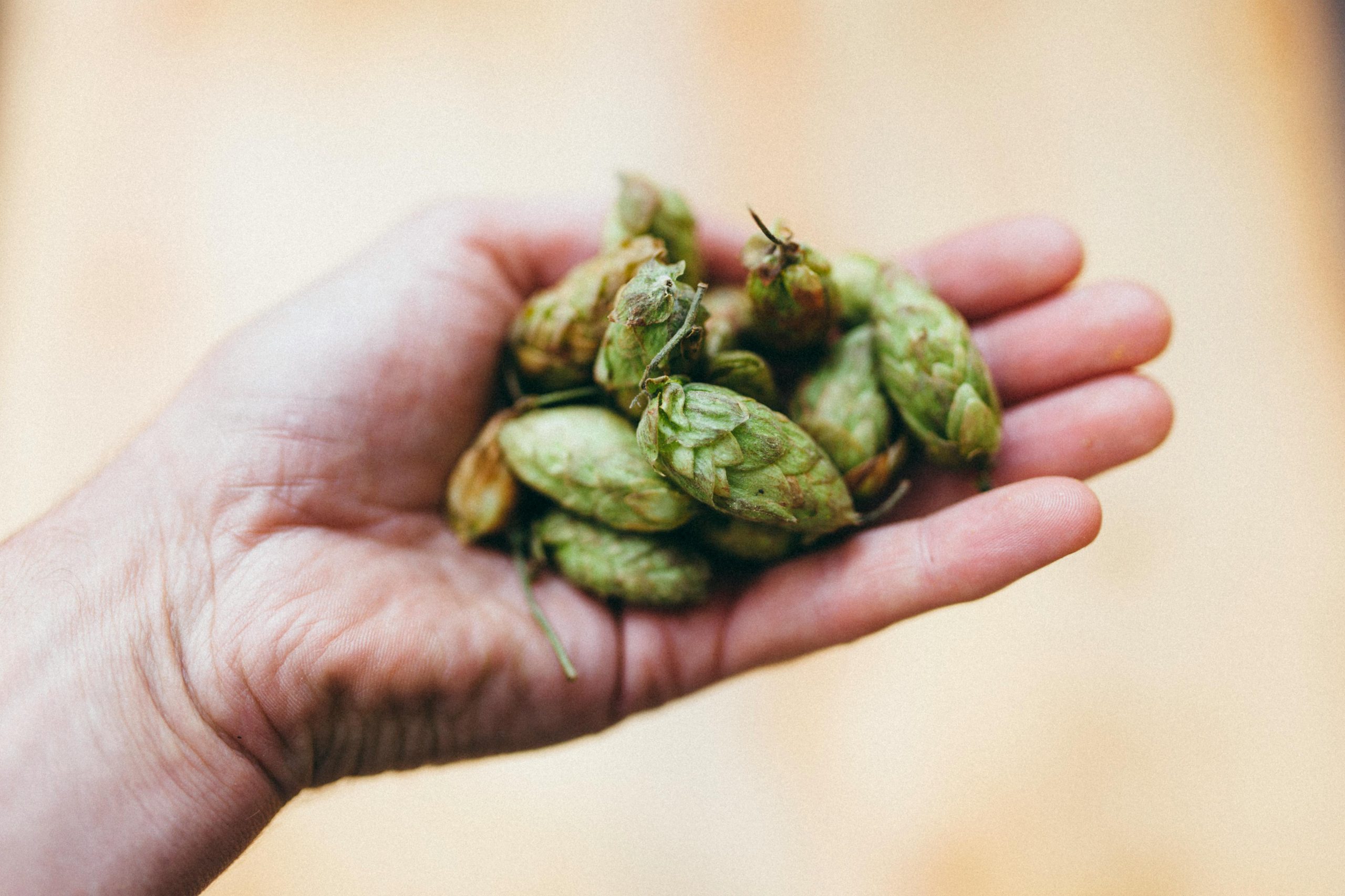 Vrais effets secondaires levure de bière