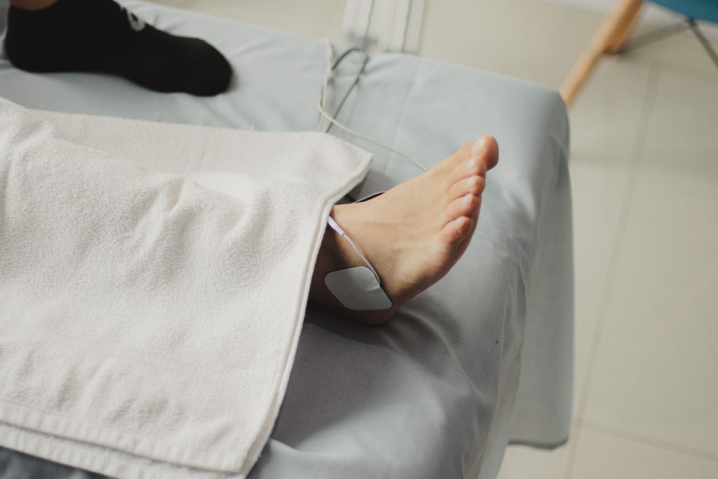 Myrmécie : comment la reconnaître et s&rsquo;en débarrasser ?