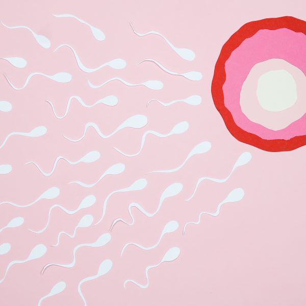 Représentation artistique de spermatozoïdes nageant vers ovule